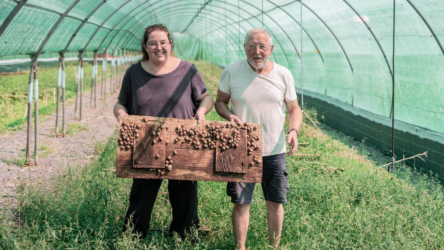 De ferme en ferme : Ferme aux escargots "Routis"