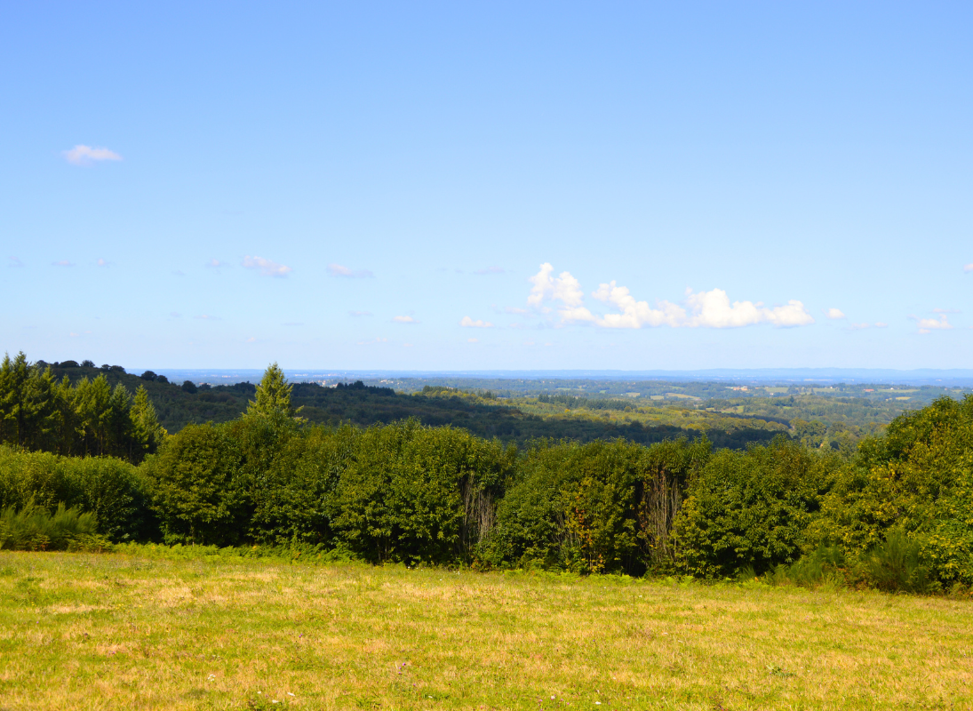 Le Grand Puyconnieux