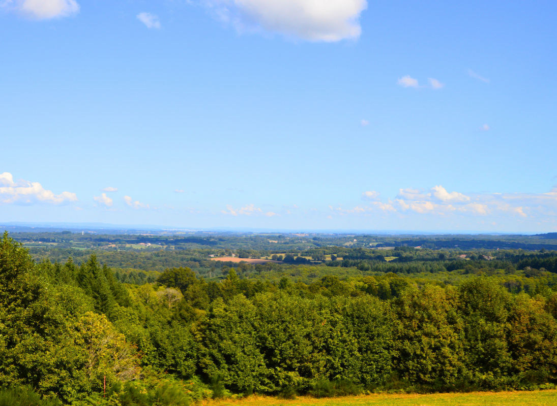 Le Grand Puyconnieux