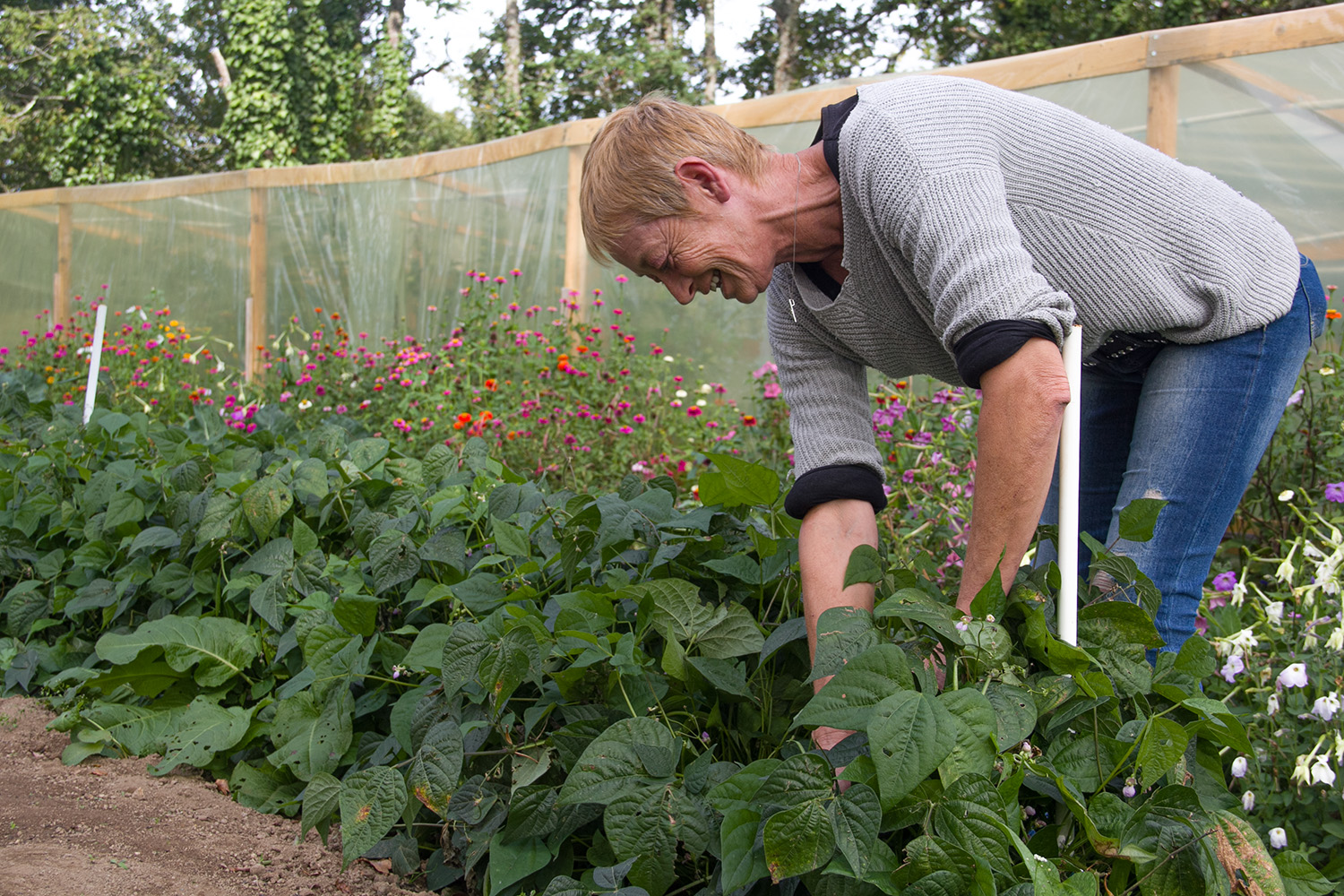 Le Moulin à Légumes