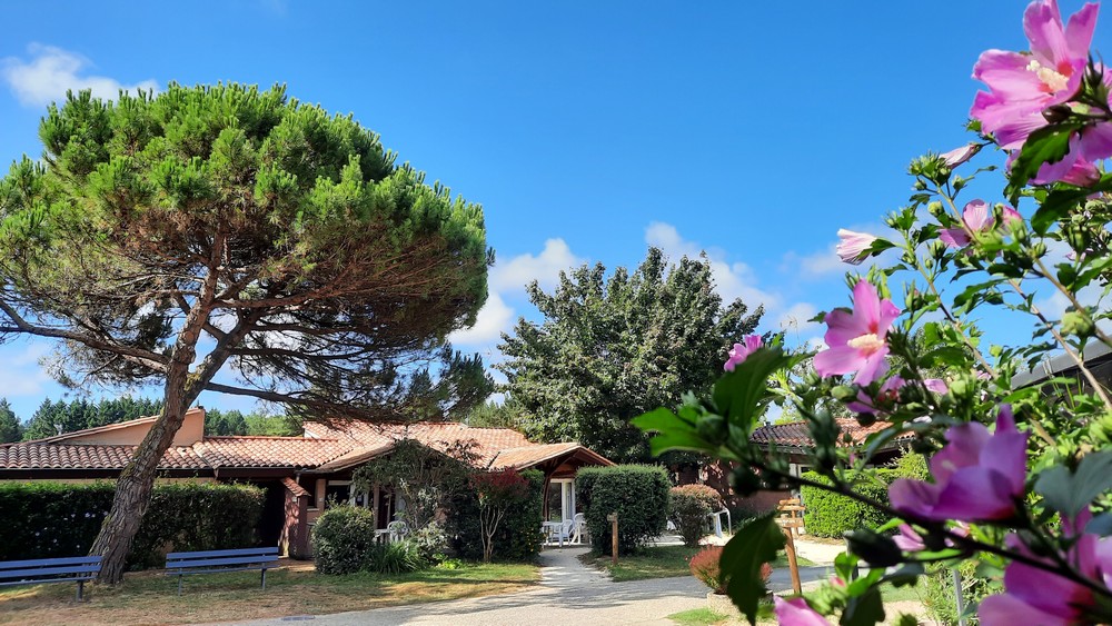 Le Relais du Moulin Neuf, Barbaste - photo 10