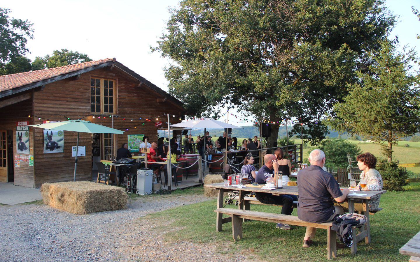 Asinerie de Pierretoun - Ferme Découverte