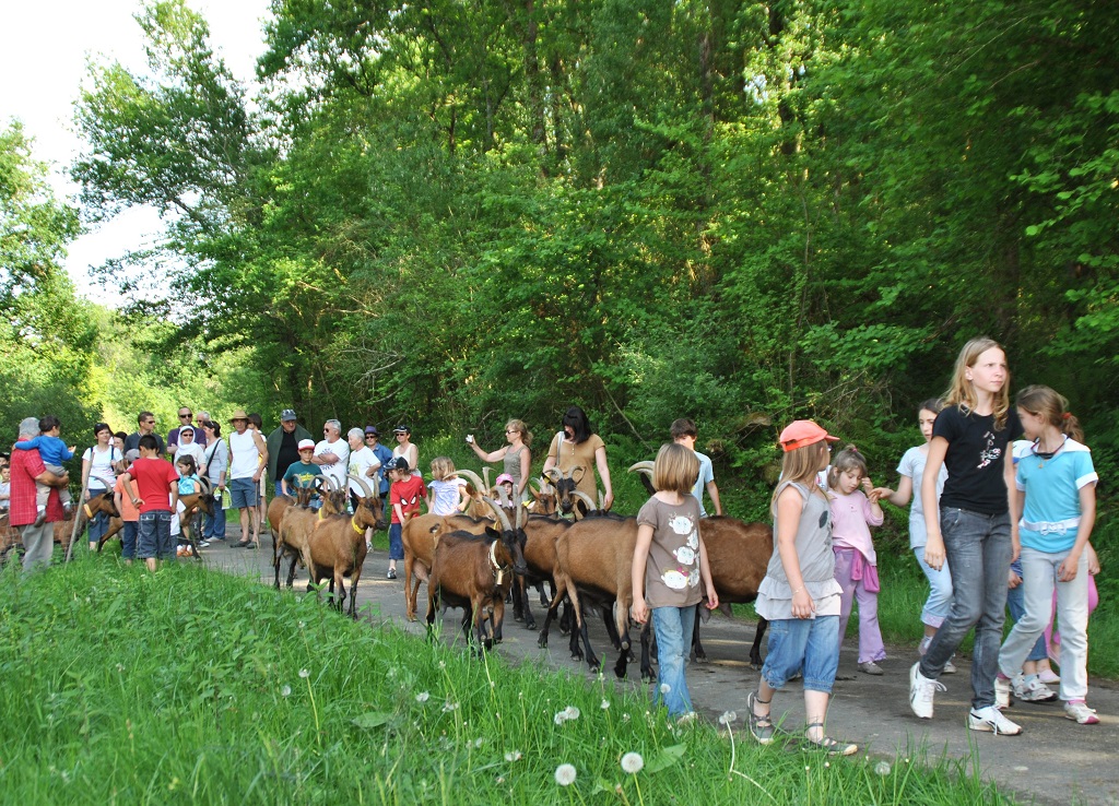 Les Chênaies de l'Adour