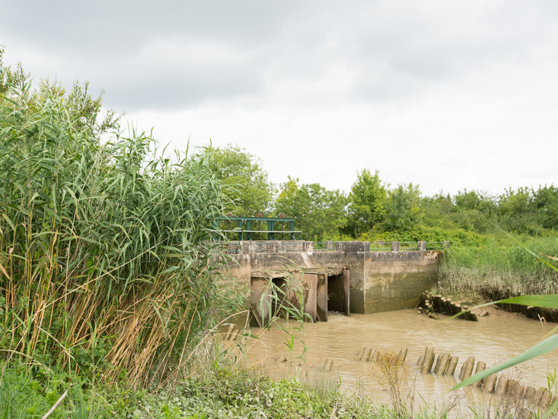 Marais d'Arcins Soussans