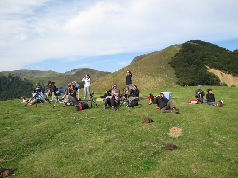 Col d'Organbidexka : observation des oiseaux