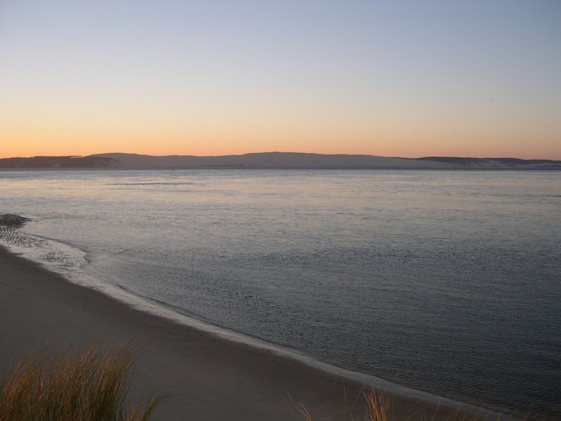 Réserve des dunes - Pointe du Cap Ferret