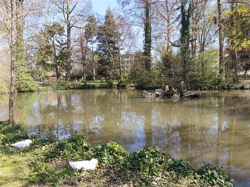 Libourne epinette (9)