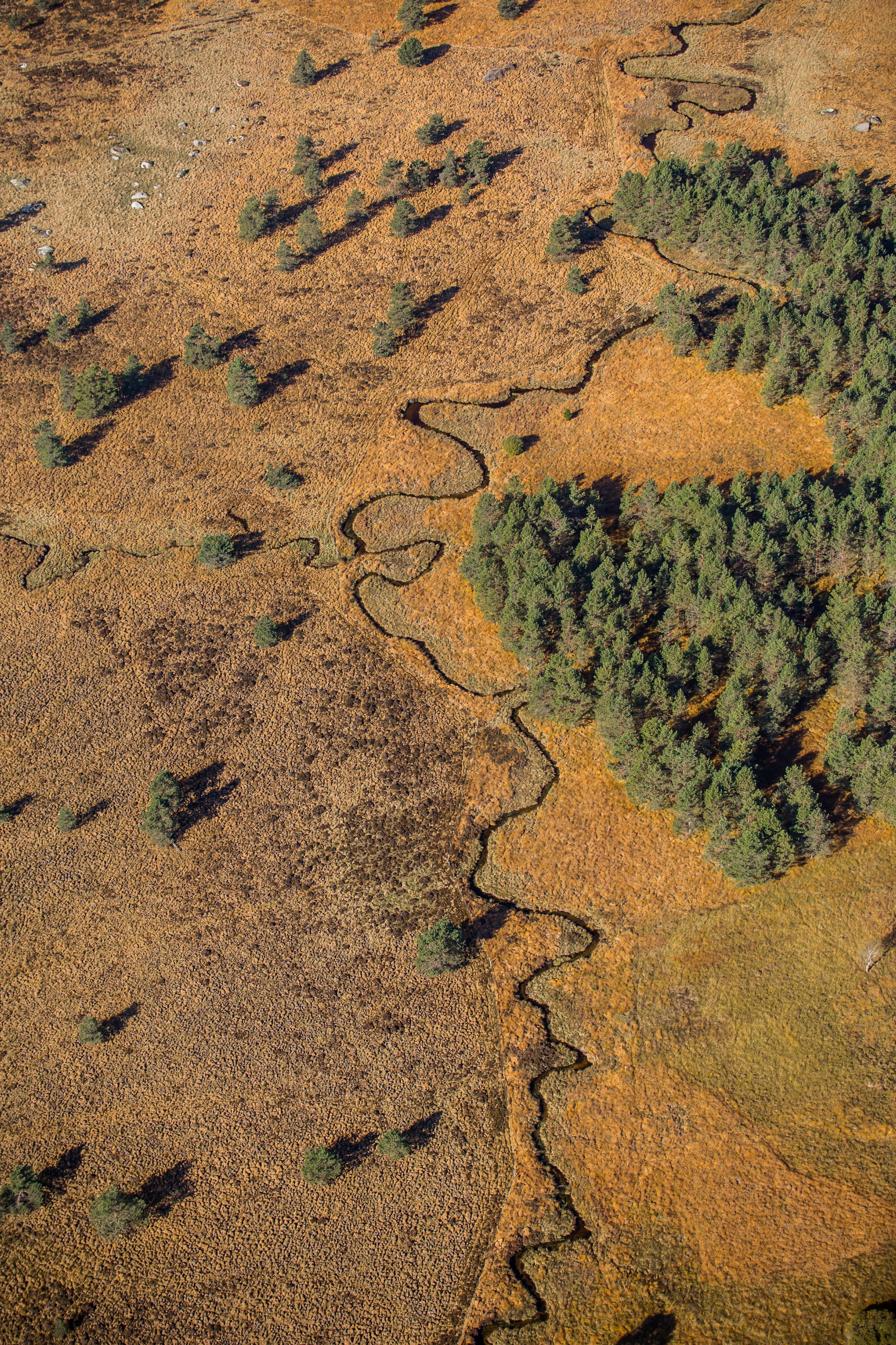 Les sources de la Vézère