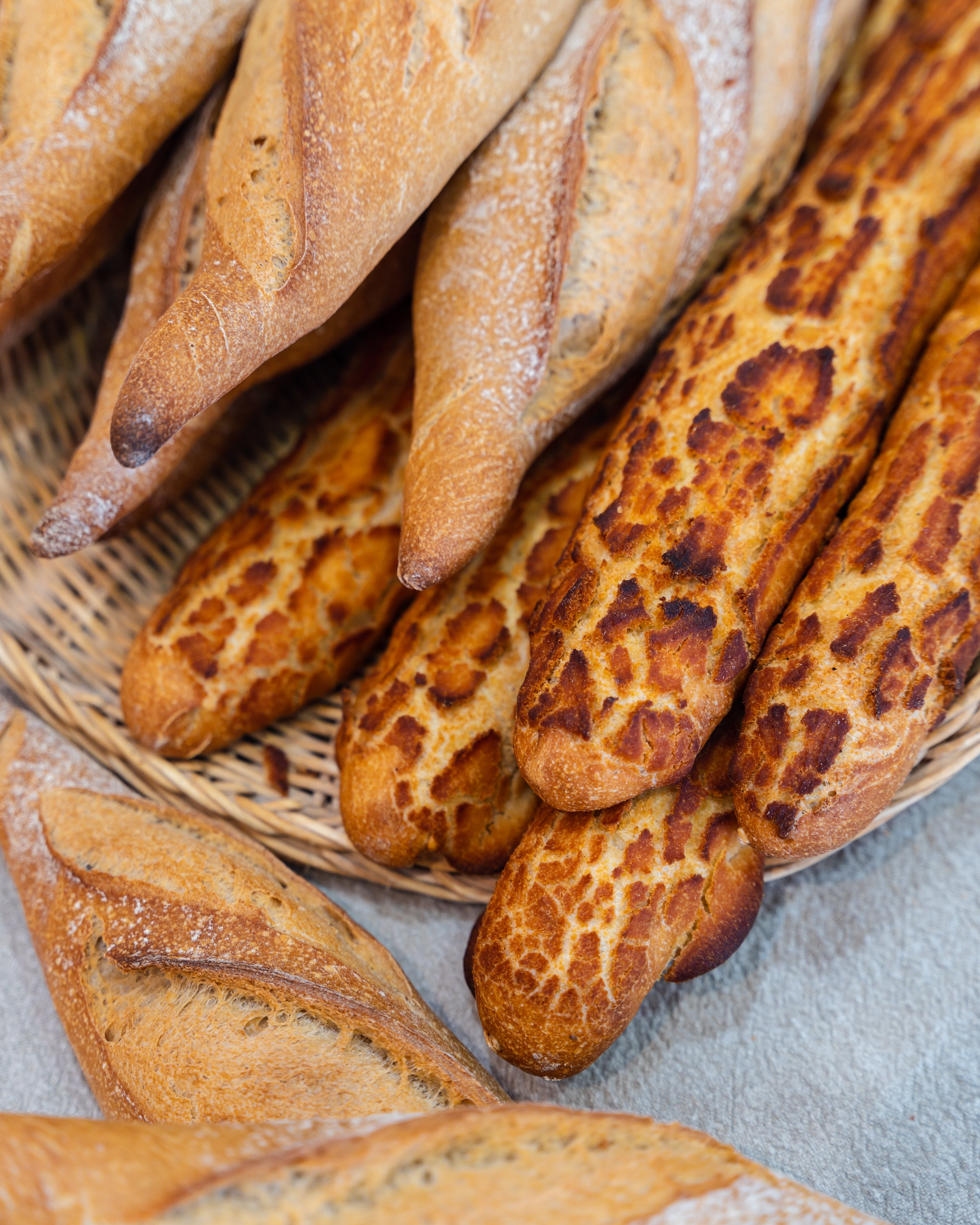 Boulangerie – Pâtisserie La Pomme de Pin, Léon - photo 3