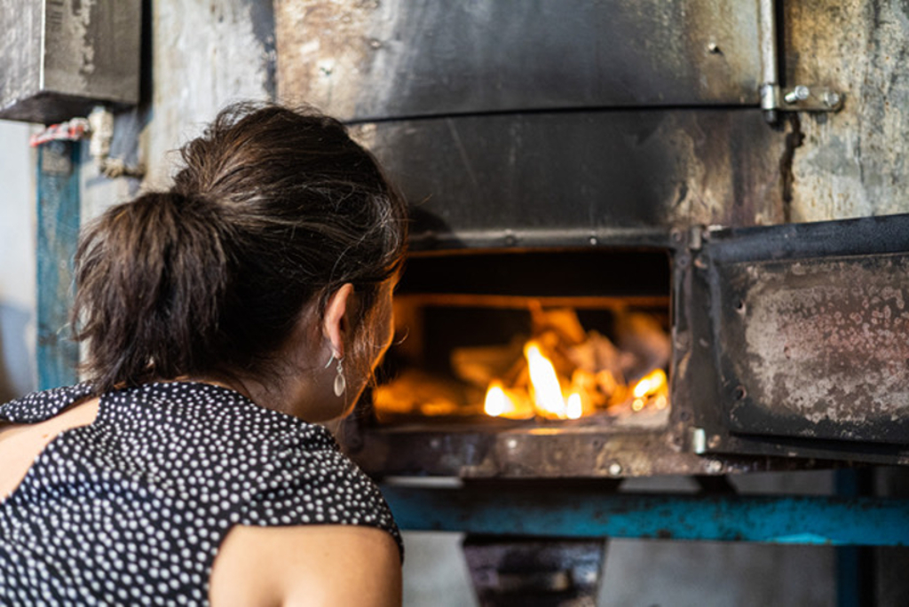 La Cabane de la Bourgonie, Saint-Cyr