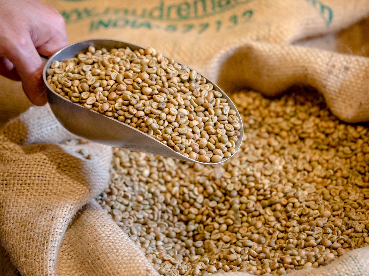 La torrefaction de la côte d'argent - photo 4