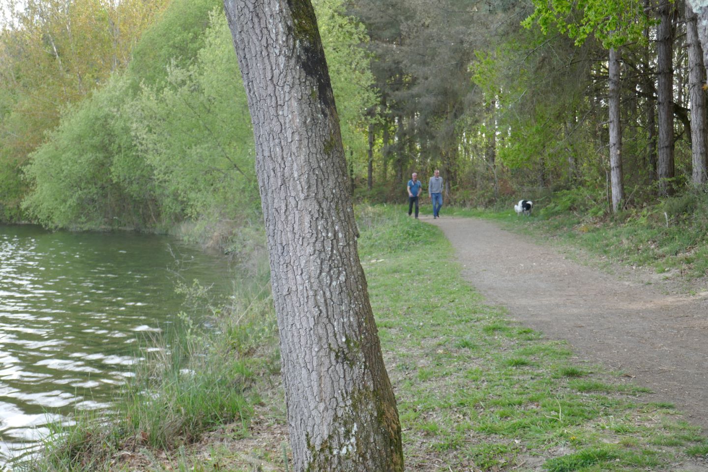 Lac d'Ayguelongue