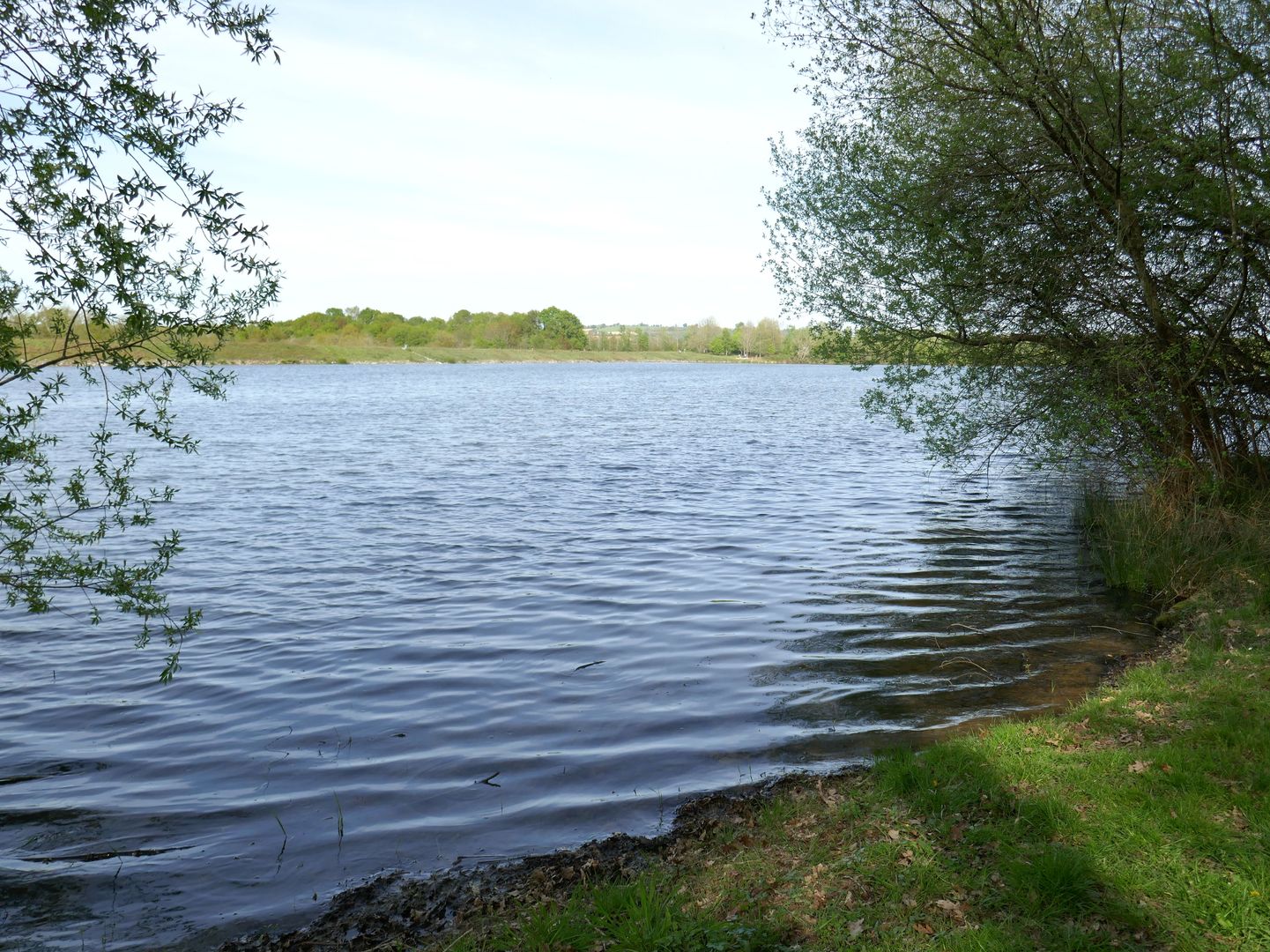 Lac d'Ayguelongue