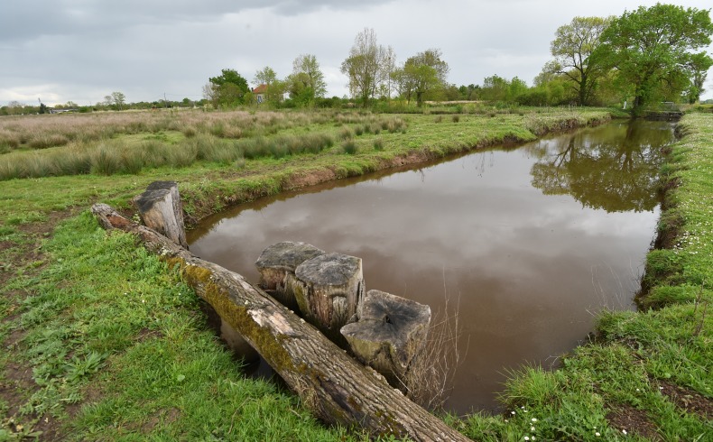 Marais de Montferrand
