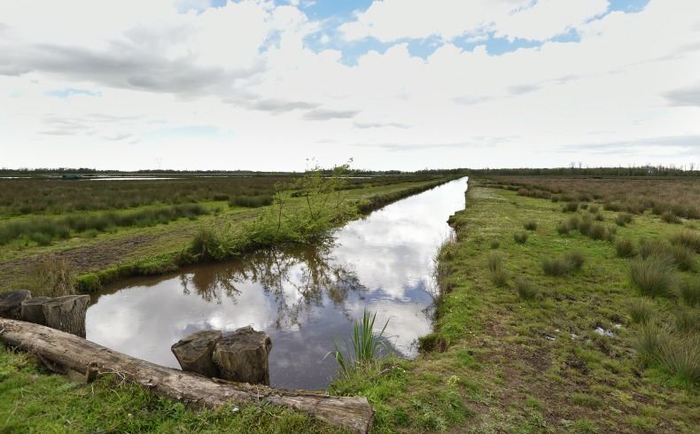 Marais de Montferrand