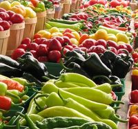 Marché Municipal de Lanton