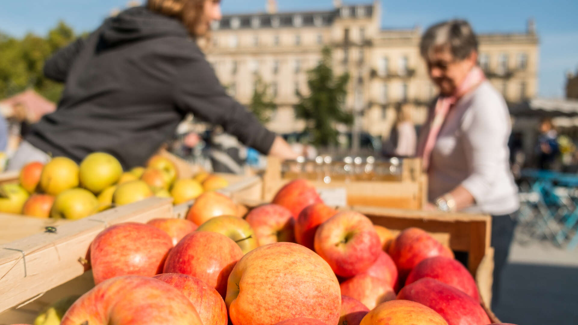 Marché de Pey Berland - photo 3