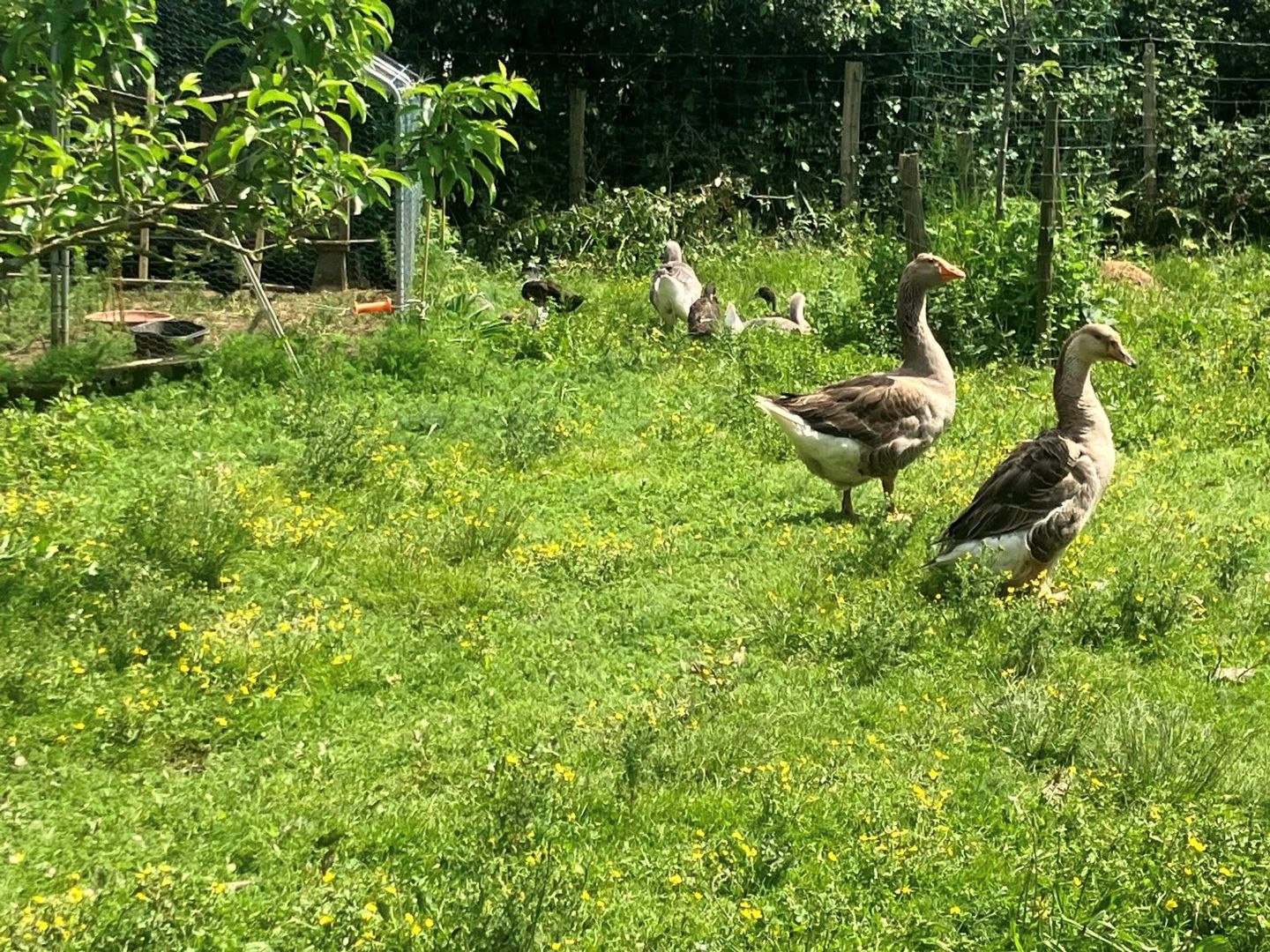 Ferme Bibane