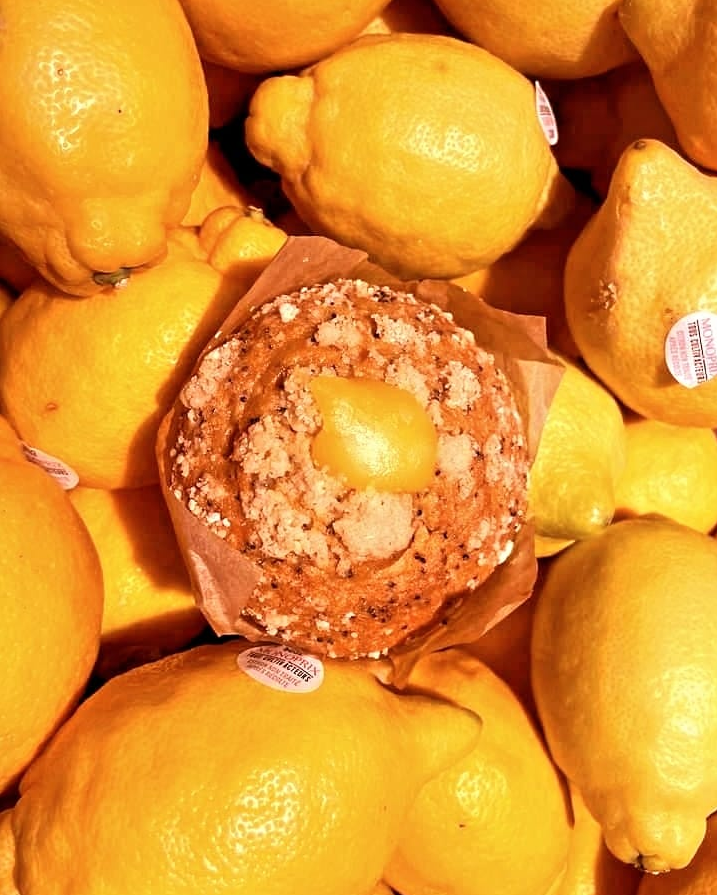 La Mie câline, Arcachon