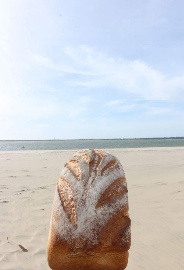 La Mie câline, Arcachon - photo 4