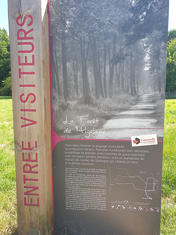 Forêt de Migelane