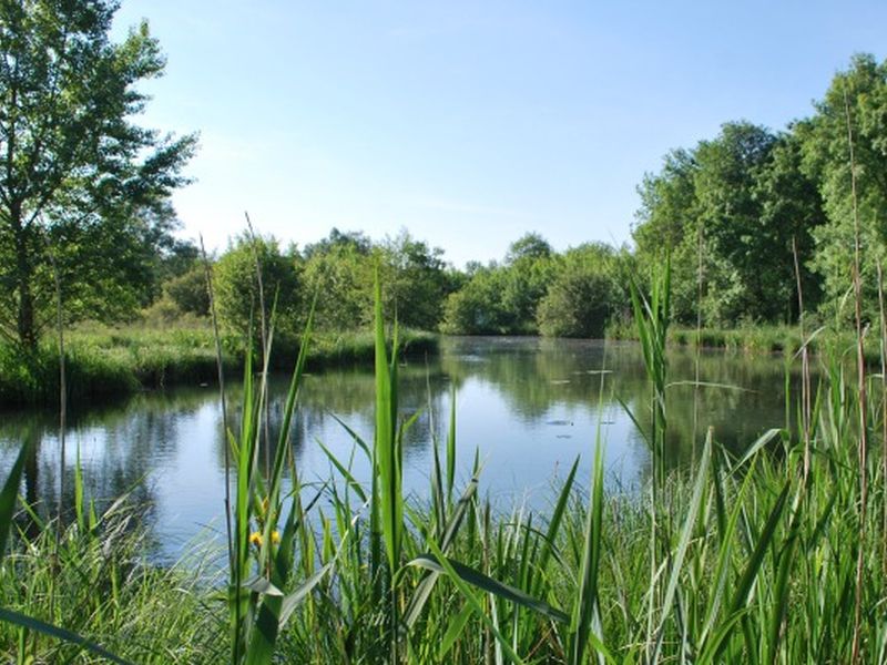 Le site naturel du Moron