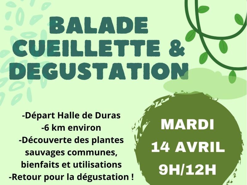 Balade, cueillette et dégustation avec Agnès de Naturopathie per tutti