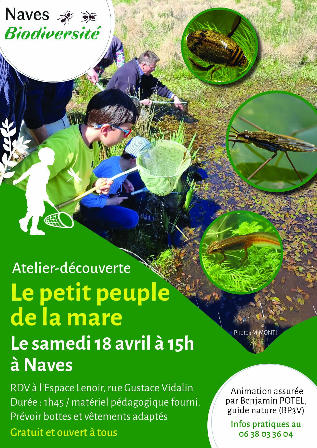Atelier-découverte : Le Petit Peuple de la Mare