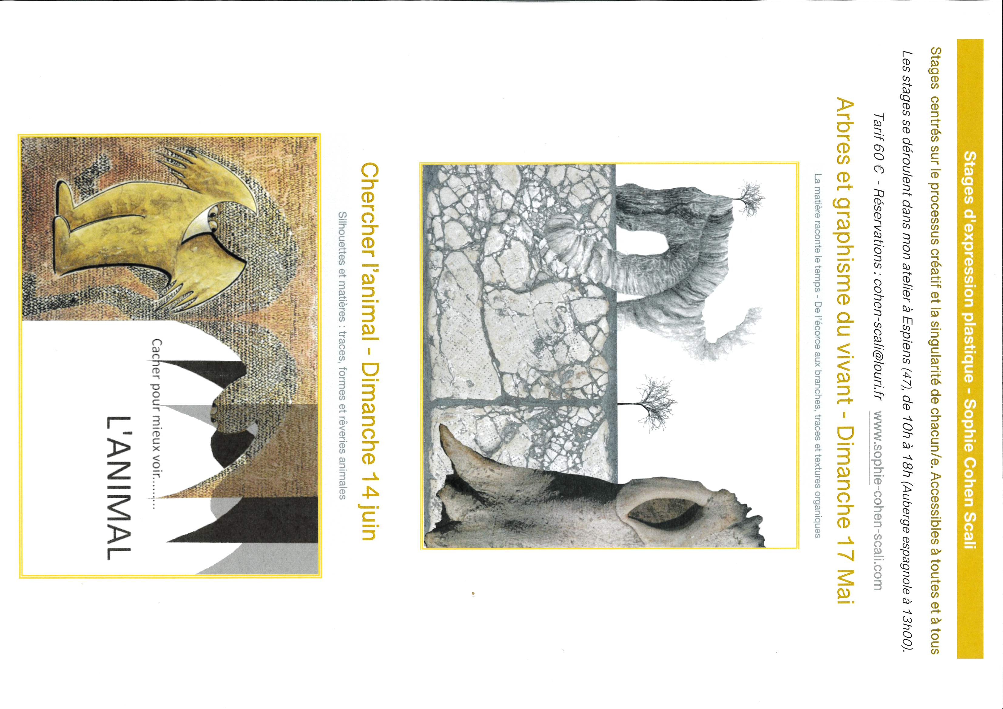 Stage d'expression plastique : Arbres et graphisme du vivant