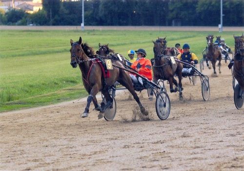 Hippodrome du Pesquié Bas - Société des courses de Villeréal