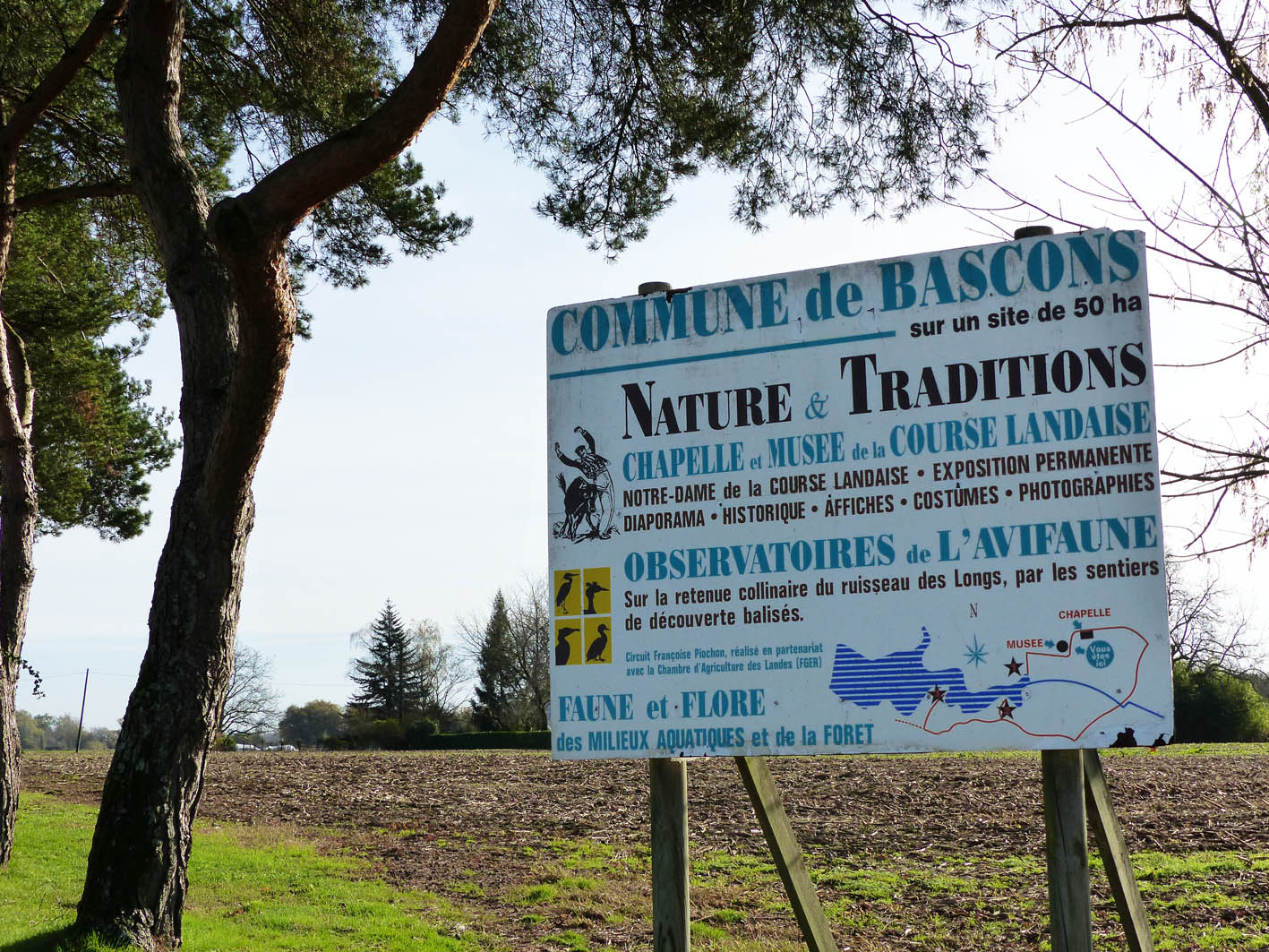 Observatoire de l'Avifaune