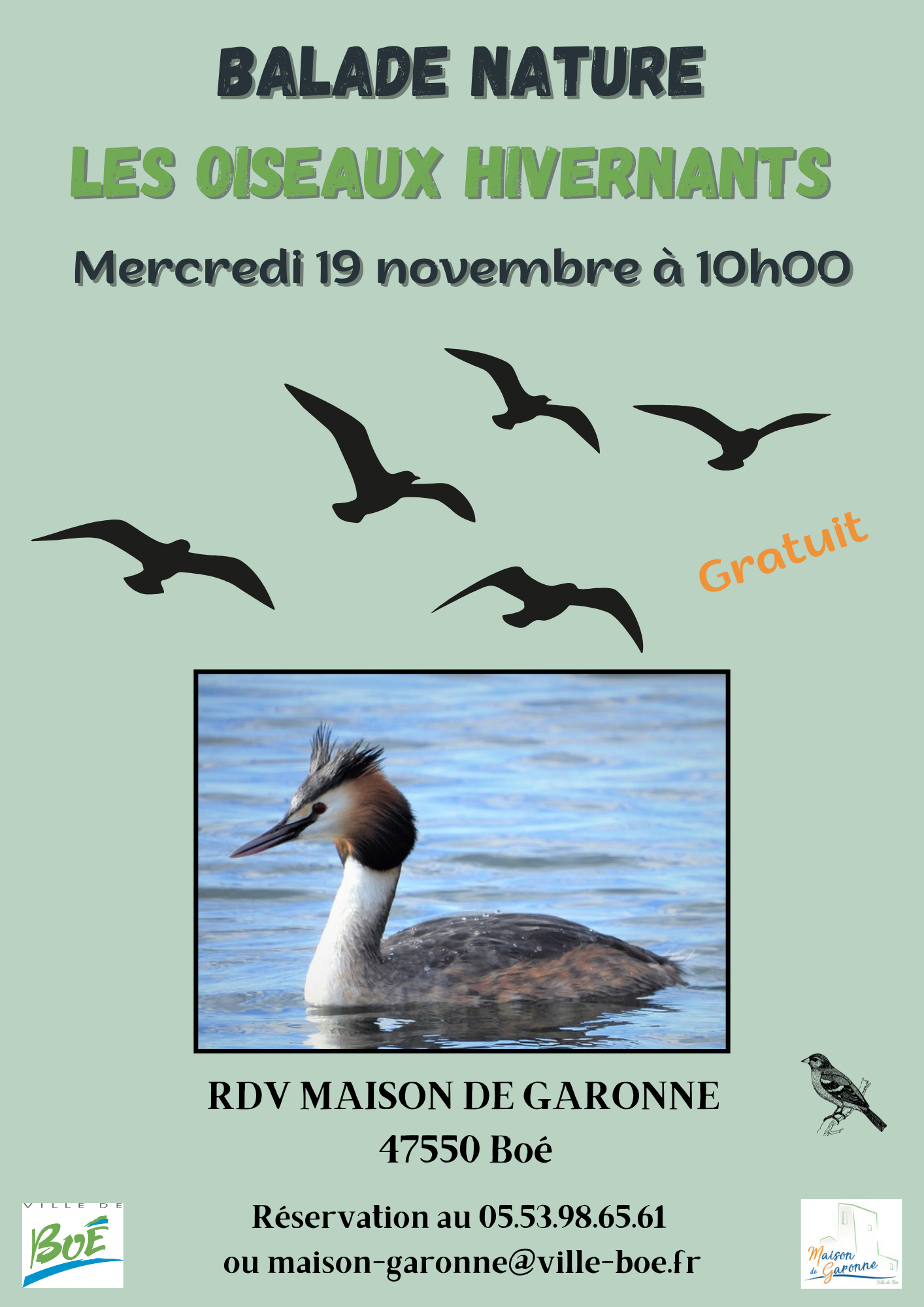 Balade nature sur les oiseaux hivernants