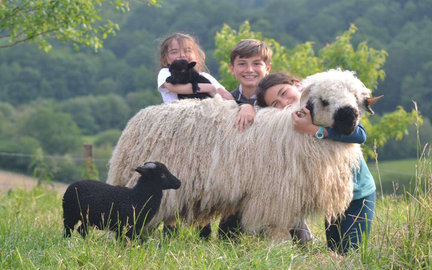 On va bien s' Marais ! - ferme pédagogique