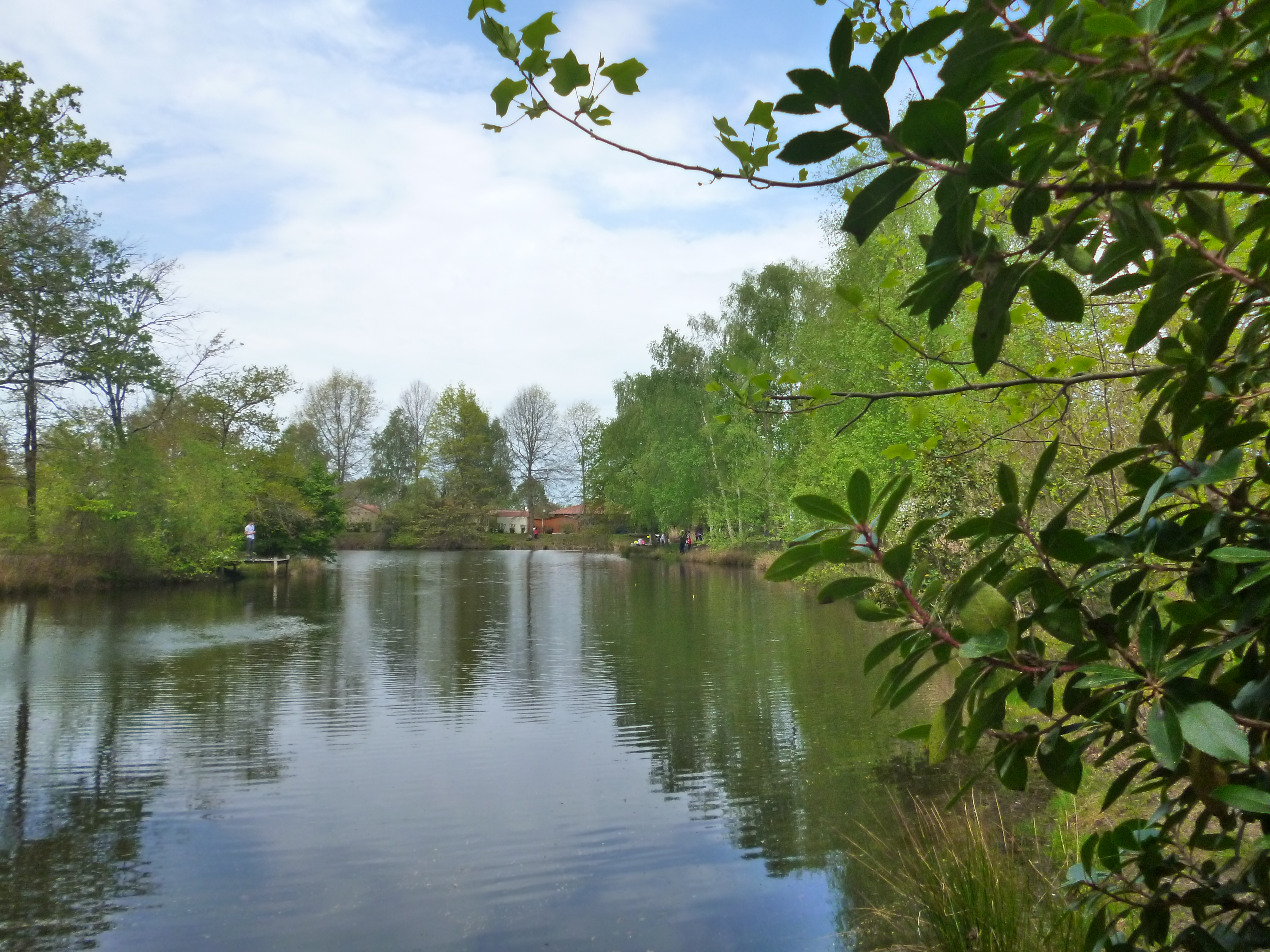 Etang et Arborétum de Moré