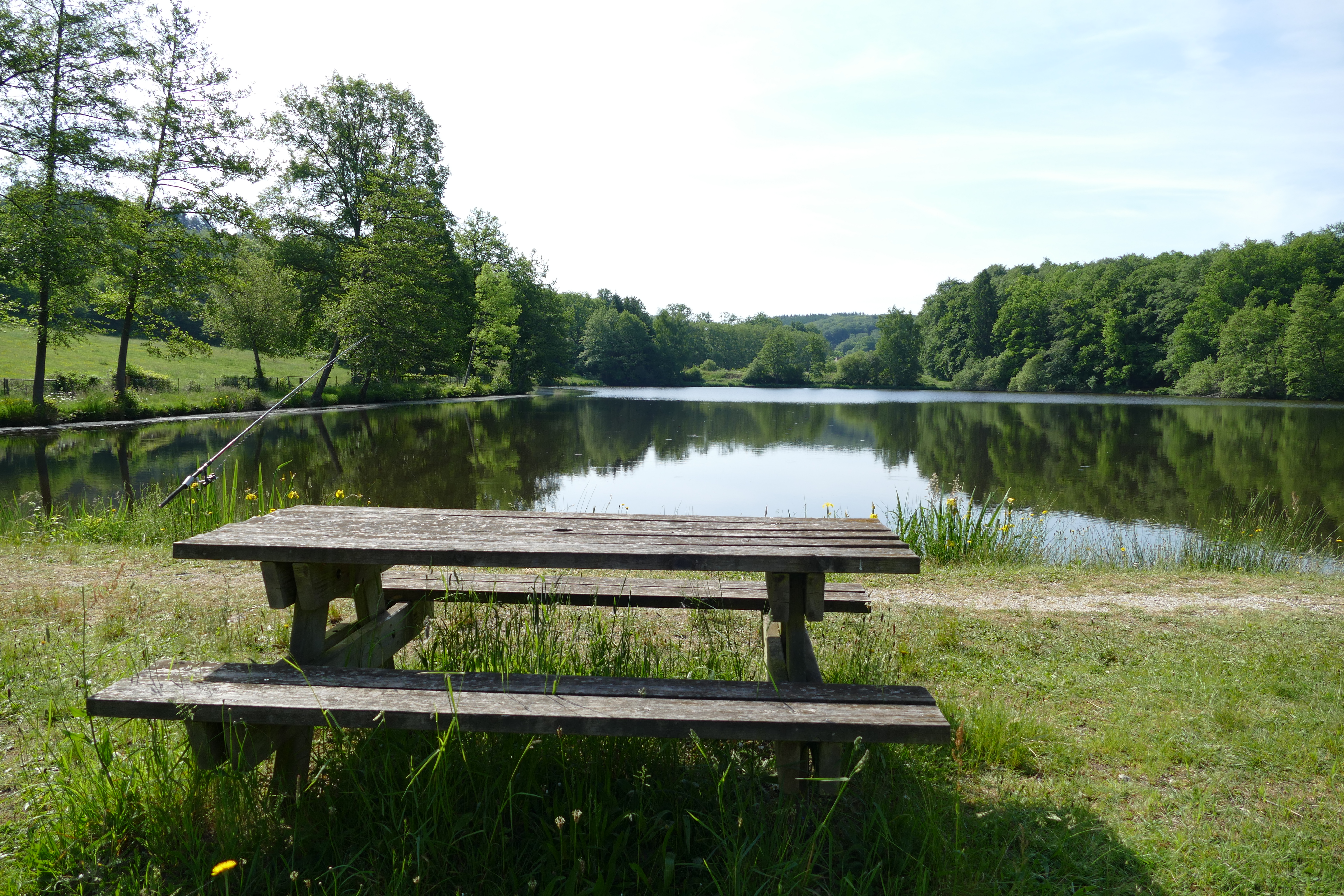Etang de Jarmenet