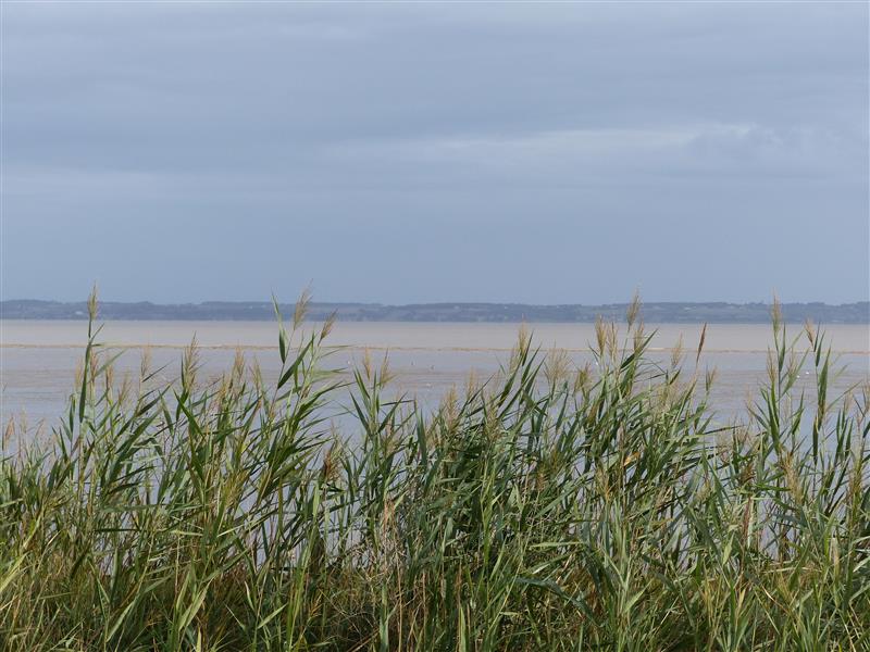 Vue Estuarienne