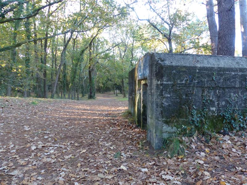 Soulacaise Sud Bunker