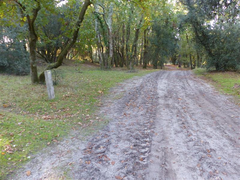 chemin retour soulacaise sud