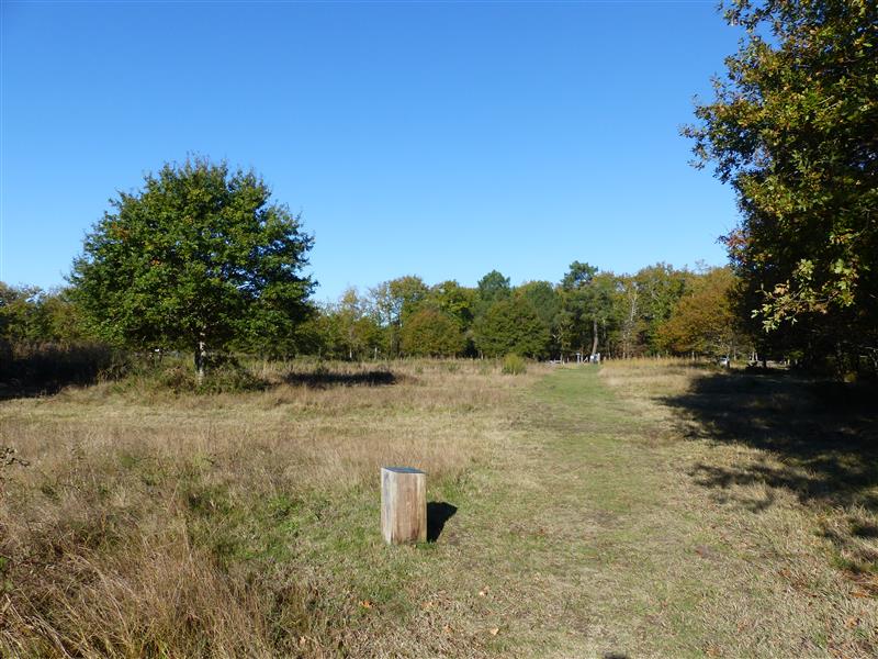 Prairie