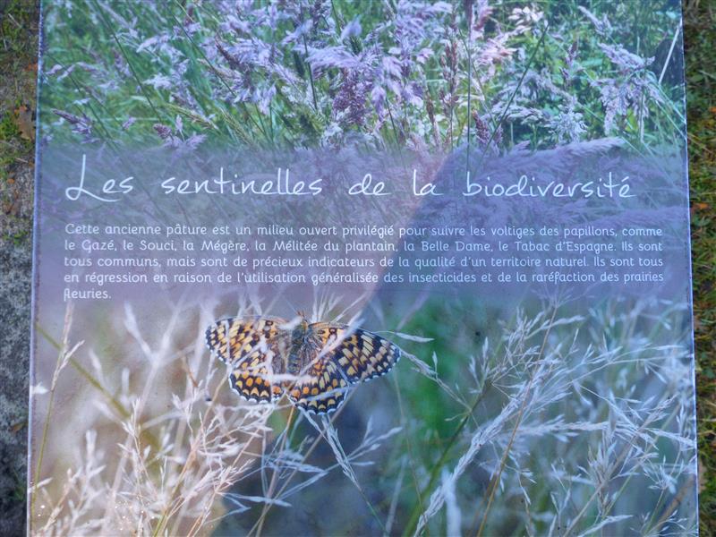 Faune