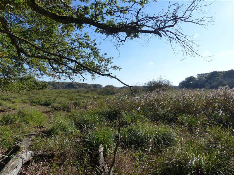 Marais du Gua