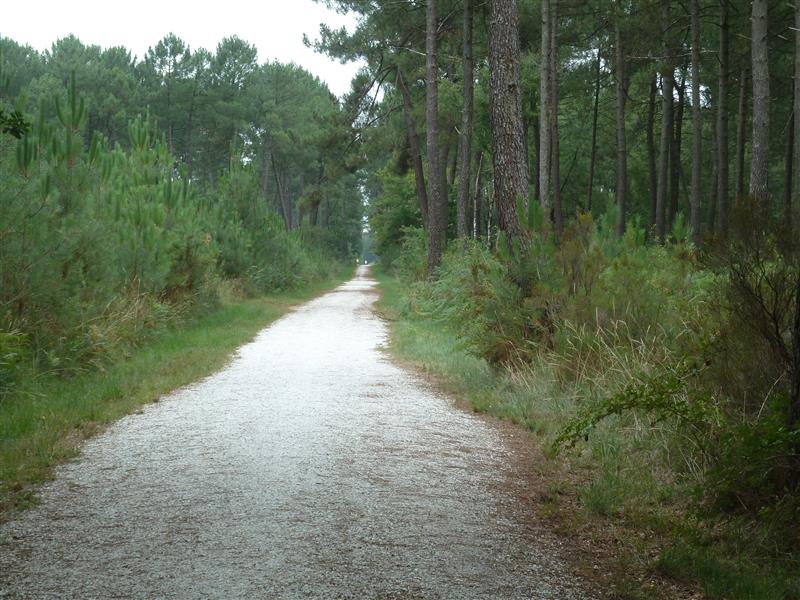 P1110178