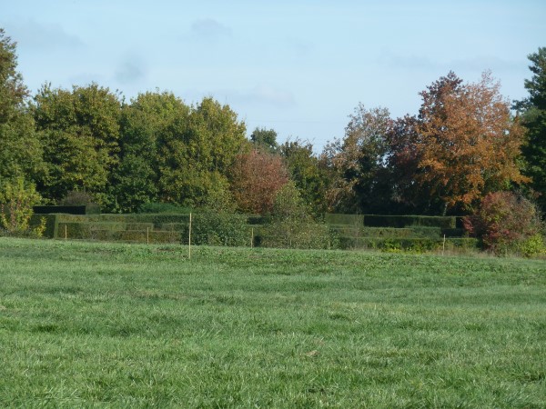 P1110610