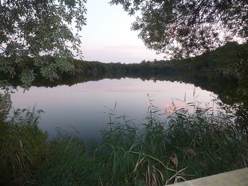 P1110630