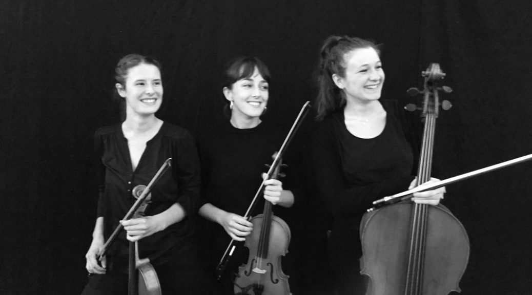 Animalia, concert du trio Habia