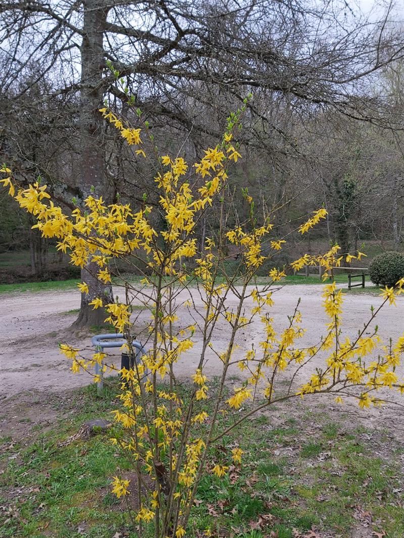 PHOTO-2021-03-19-20-39-48