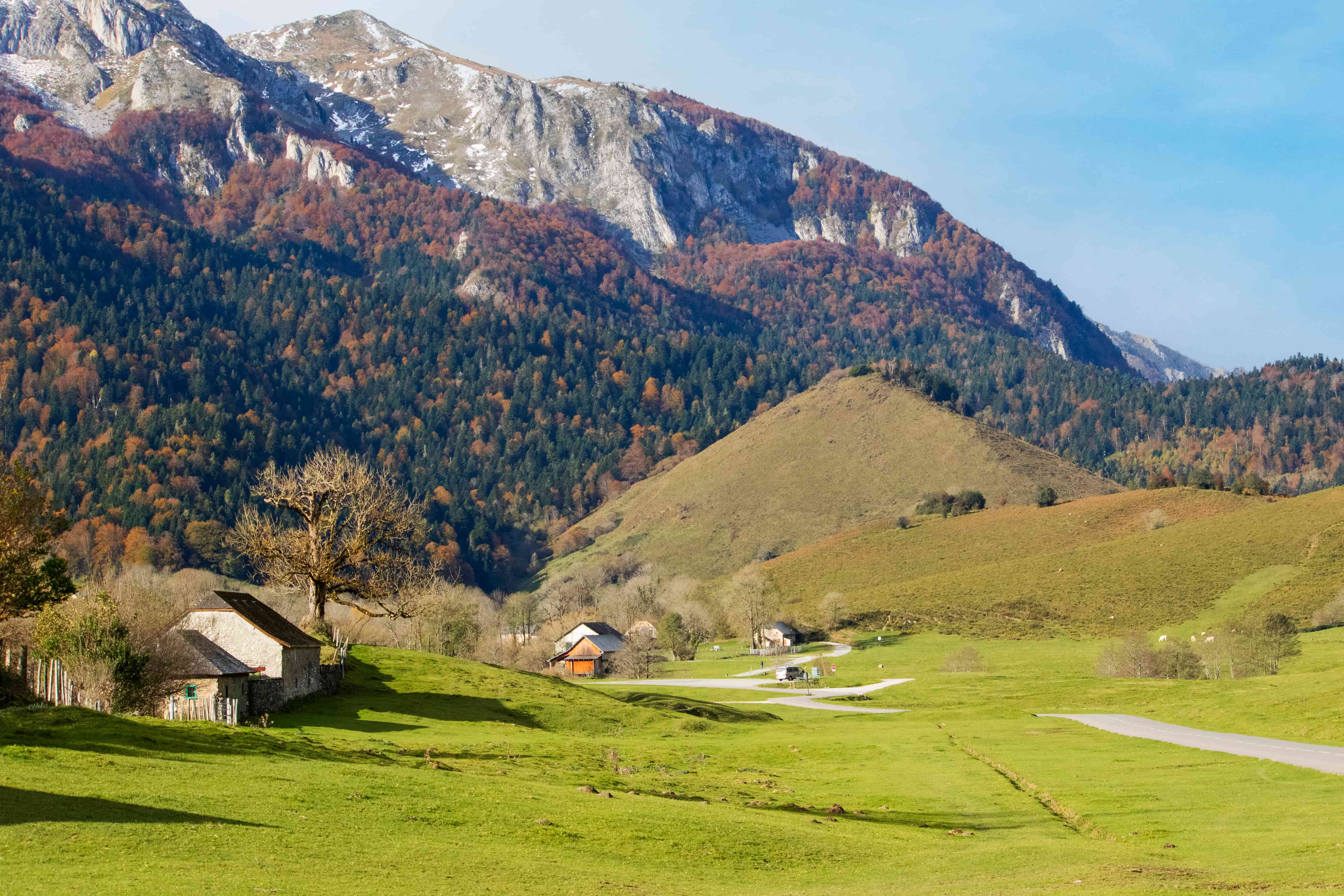 Plateau du Bénou