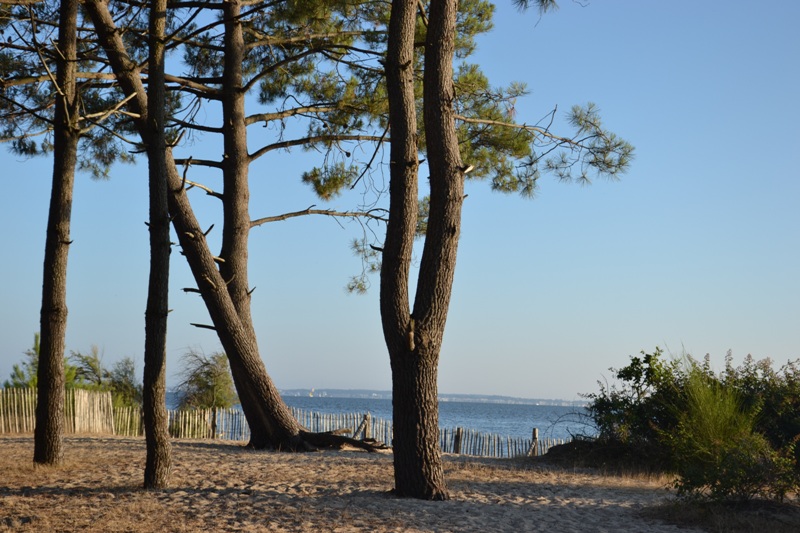 Site naturel des Quinconces