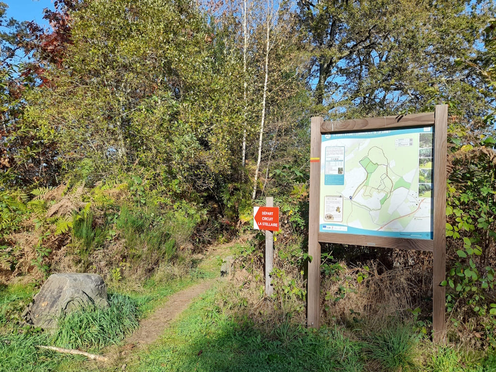 Forêt communale de Lifarnet
