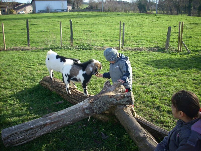 Parc du Griffon
